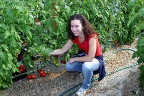 Vines and fruit cluster with visiting potential graduate student
