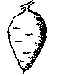 Black-and-white sketch of an elongated root vegetable with small root hairs and top sprout