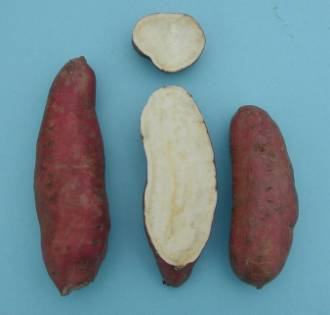 External and internal appearance of 'Japanese' sweetpotato