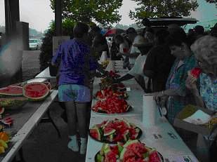 taste testing melons