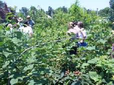 participants on the tour