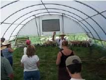 hoop house