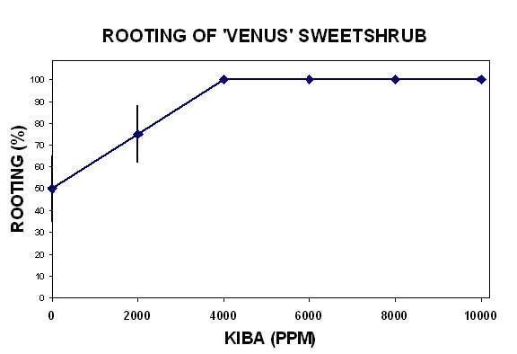 Figure 1. 'Venus' Sweetshrub PPAF - in flower and bud.