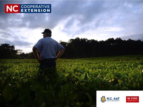 N.C. Cooperative Extension Co-brand logo in top left corner of photo and university logos in bottom right corner of photo