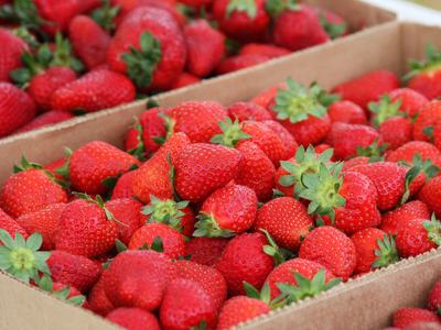 Red strawberries with green stems packed in cardboard boxes