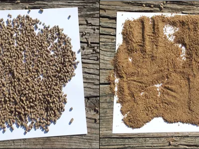Organic fertilizer