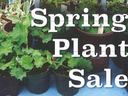 Spring plant sale