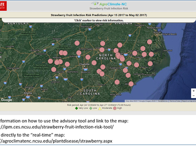 Strawberry Fruit Risk Advisory map