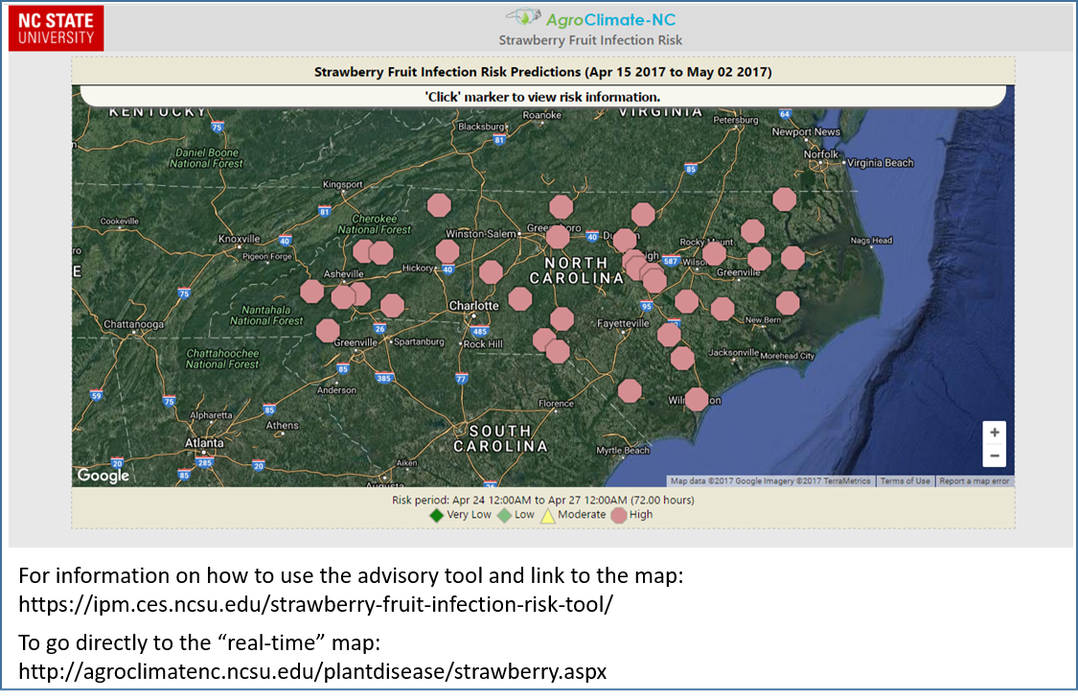 Strawberry Fruit Risk Advisory map