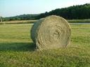 Round hay bale on mown grassy field with a road and trees in the background