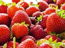Ripe red strawberries piled together, green calyxes visible