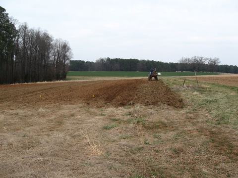 Tractor and driver plowing a field with bare trees and an overcast sky