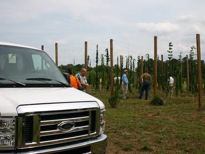 White van front; workers inspect field of wooden poles supporting climbing plants