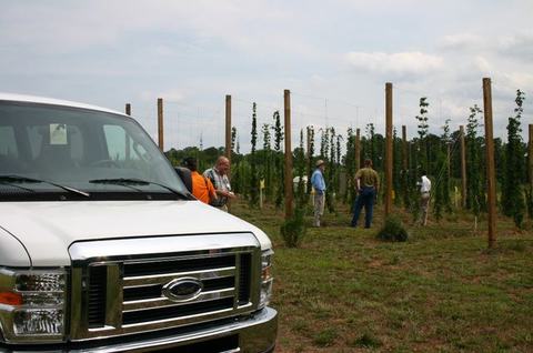White van front; workers inspect field of wooden poles supporting climbing plants