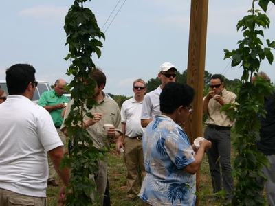 Group of people standing among tall climbing vine plants in a field, some holding cups