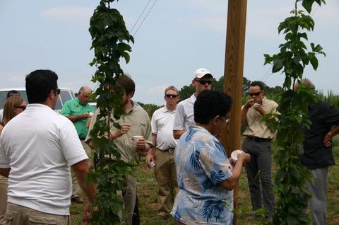 Group of people standing among tall climbing vine plants in a field, some holding cups