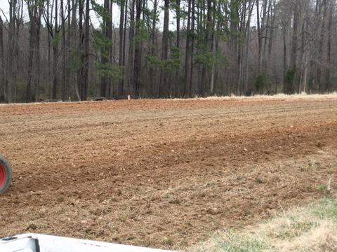 Plowed field with parallel furrows extending toward a treeline of tall trees