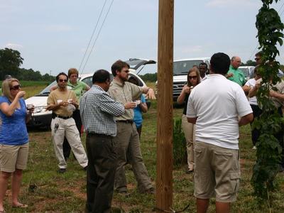Group of people in a field gathered around a wooden pole with a climbing vine, inspecting plants
