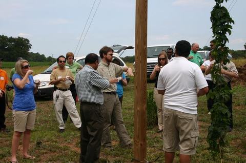 Group of people in a field gathered around a wooden pole with a climbing vine, inspecting plants