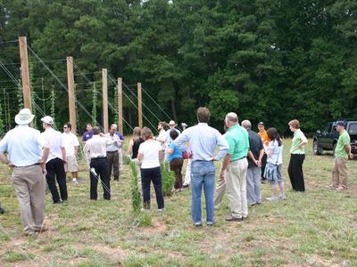 Group of people standing in a field near wooden poles and wires, trees in background