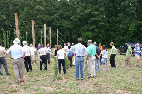 Group of people standing in a field near wooden poles and wires, trees in background