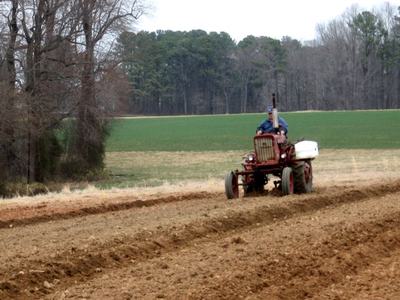 Person driving red tractor plowing parallel furrows in a field