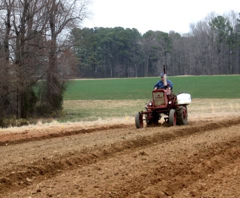 Person driving red tractor plowing parallel furrows in a field