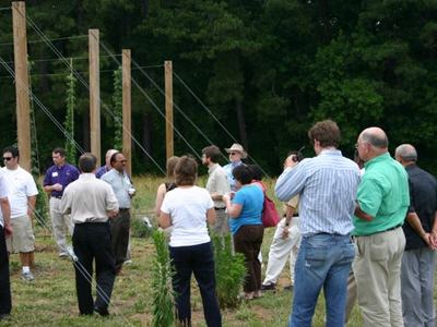 Group of people standing outdoors near wooden poles and support cables
