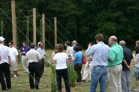 Group of people standing outdoors near wooden poles and support cables