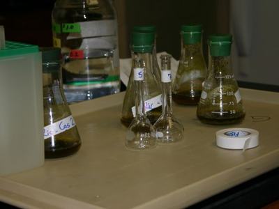 Laboratory Erlenmeyer and volumetric flasks with green caps and liquids on a tray; one shows "125 mL"