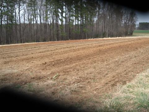 Plowed field with parallel furrows leading to a line of leafless trees