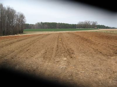 Plowed agricultural field with parallel furrows and small yellow markers, treeline horizon