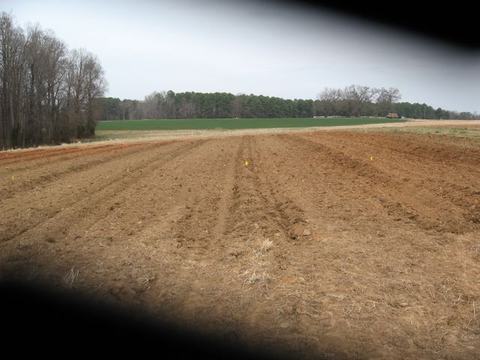 Plowed agricultural field with parallel furrows and small yellow markers, treeline horizon