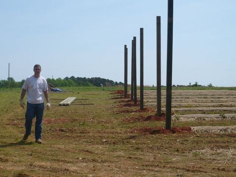 Man walking on a field beside a row of newly installed vertical posts