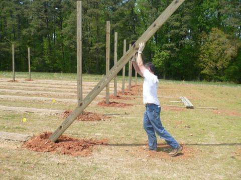 Man braces a diagonal wooden post while installing a row of upright posts in a field