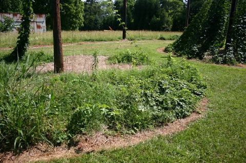 Overgrown curved garden bed with weeds, grass paths, and wooden poles