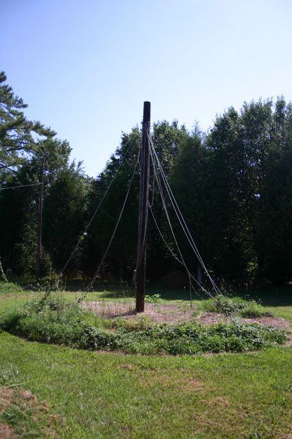Wooden central pole with multiple guy wires anchored around a circular grassy area