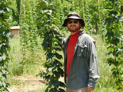 Man wearing hat and sunglasses standing beside a tall climbing hop vine in a field