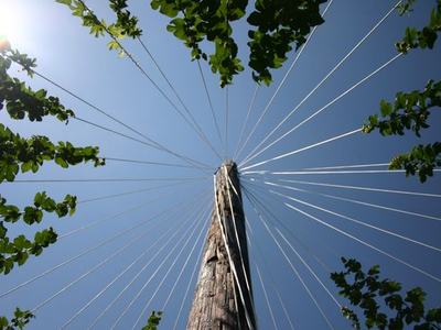 Wooden utility pole viewed from below with radial wires against blue sky and leaves