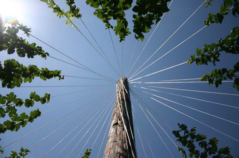 Wooden utility pole viewed from below with radial wires against blue sky and leaves