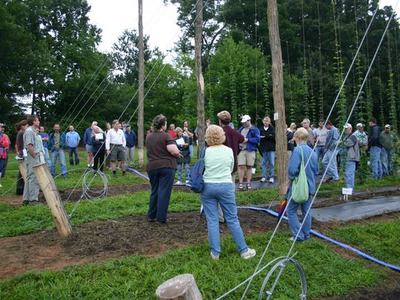 Group of people standing among tall wooden poles and support wires in a grassy field
