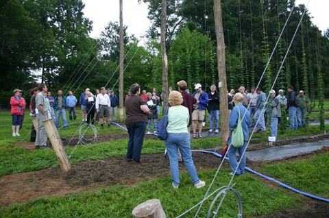 Group of people standing among tall wooden poles and support wires in a grassy field