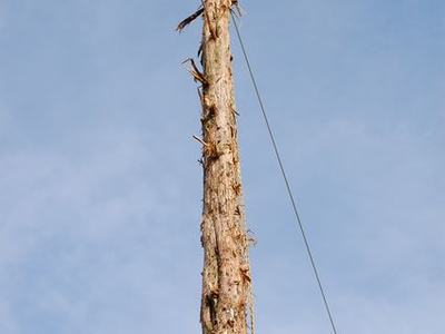 Stripped tree-trunk pole with two wires and a rope against blue sky