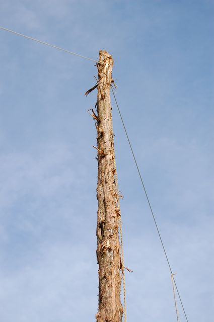 Stripped tree-trunk pole with two wires and a rope against blue sky