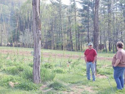 Three people standing in a grassy field with young trellises and a tree line in background