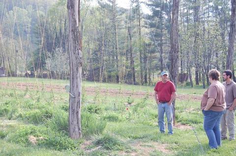 Three people standing in a grassy field with young trellises and a tree line in background