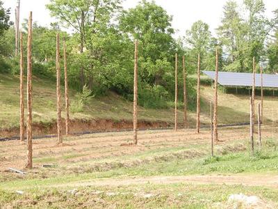 Rows of tall wooden poles installed across a cleared field with solar panels nearby