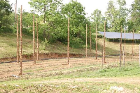Rows of tall wooden poles installed across a cleared field with solar panels nearby