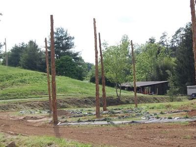 Stripped tree trunks erected in a field with plastic-covered planting rows and a barn