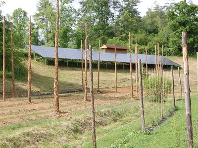 Ground-mounted solar panels on grassy hillside above a field with wooden trellis poles